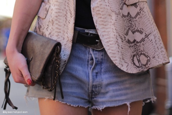 shorts_outfit4.0